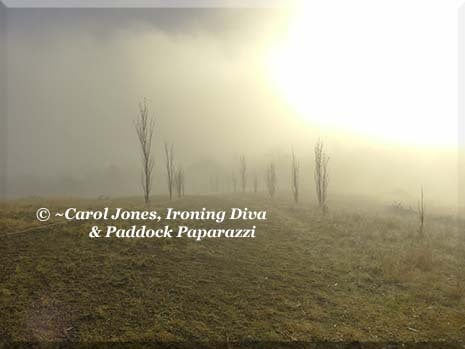 Ironing Diva Metro Pro 037 P2480537 Poplar Walk In Fog