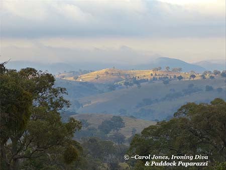#1 A Blue Mist In The Hills This Morning 450 x 338 2017 December 05