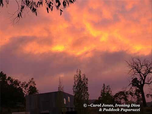 A Brief Show Of Colour Over The Woolshed In What Is A Gloomy Morning Sky 500 x 375 2014 Jan 24 (BLOG)