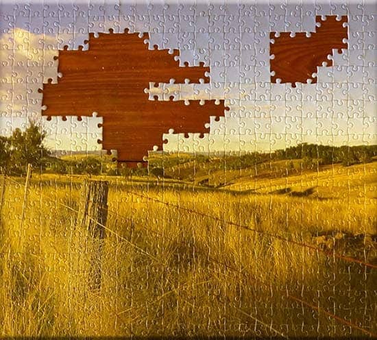 Jigsaw Puzzles By The Paddock Paparazzi