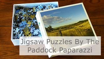Jigsaw Puzzles. Click Image To Open Page.